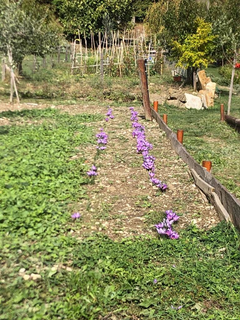 Apartament Il Borghetto Di Carra Talla Zewnętrze zdjęcie