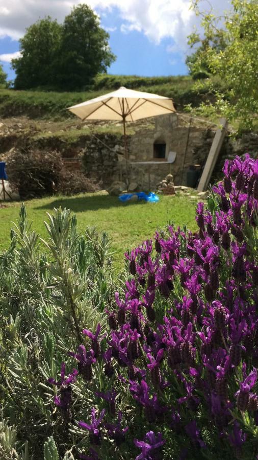 Apartament Il Borghetto Di Carra Talla Zewnętrze zdjęcie
